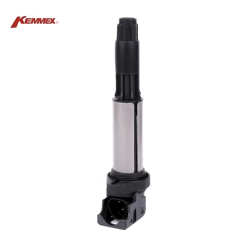 Ignition Coil for BMW 0221504464 12131712223 12137594938 12131712219 12137551260 GN10210-12B1